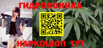 сатива Гуково