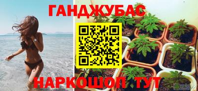 сатива Гуково