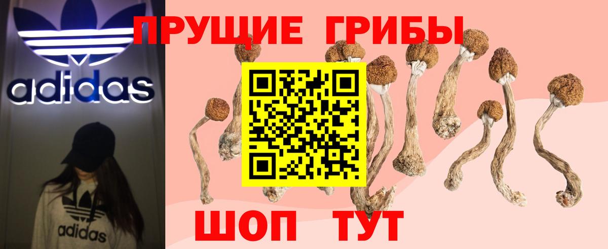 Камень-на-Оби  Псилоцибиновые грибы прущие грибы  где можно купить наркотик  Вход с VPN 